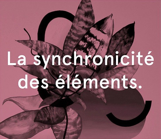 Jean-Baptiste CARON-Mathieu MERLET-BRILLANT / La Synchronicité des éléments / Nîmes / exposition collective